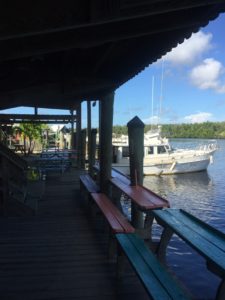 Now is a great time to visit the Everglades