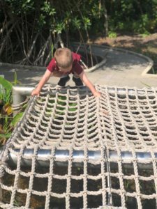 The Naples Botanical Gardens - A great place for kids!