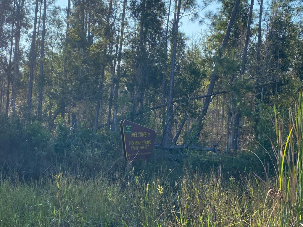 A Trip to Picayune Strand State Forest