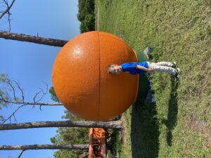 Big Orange at South Naples Citrus Grove