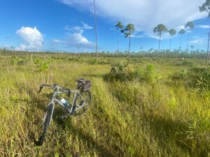 Bike Ride in Picayune State Forest